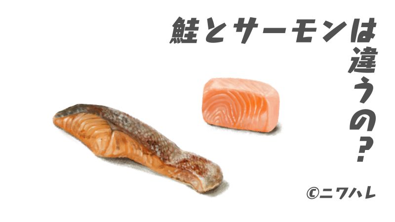鮭とサーモンの違いは生で食べるか火を通すか？